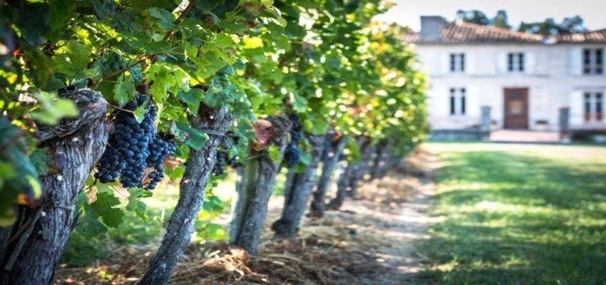 L'Hermitage D'Alienor Lugon et l’Ile du Carney Εξωτερικό φωτογραφία