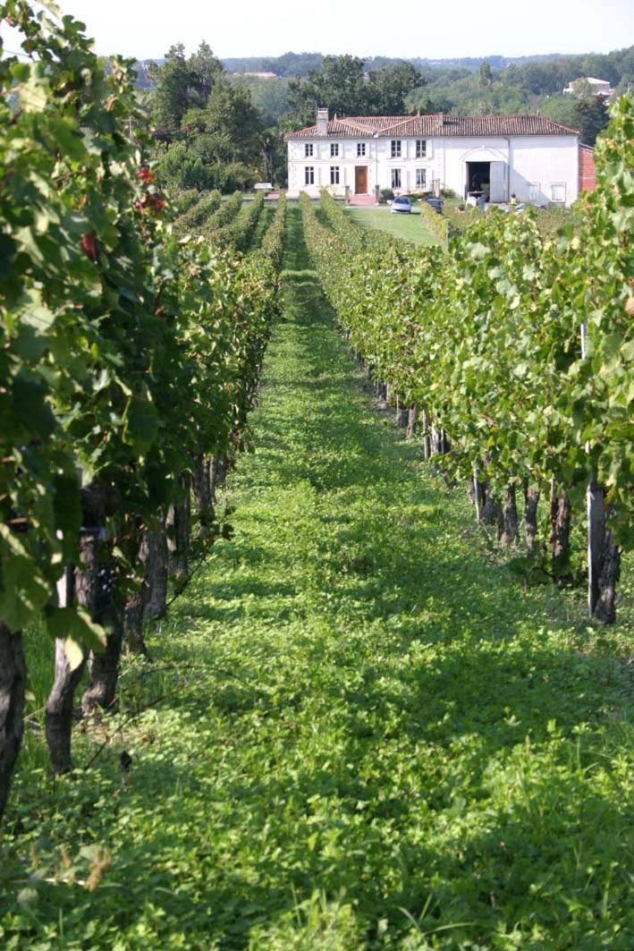 L'Hermitage D'Alienor Lugon et l’Ile du Carney Εξωτερικό φωτογραφία